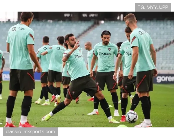 葡萄牙队欧洲区预选赛表现抢眼，全力冲击世界杯正赛